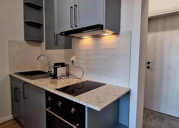 Mint 1 * فيليكو ترنوفو