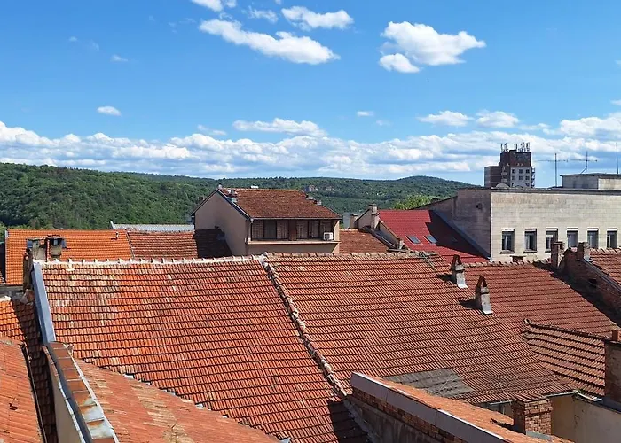 Mint 1 فيليكو ترنوفو